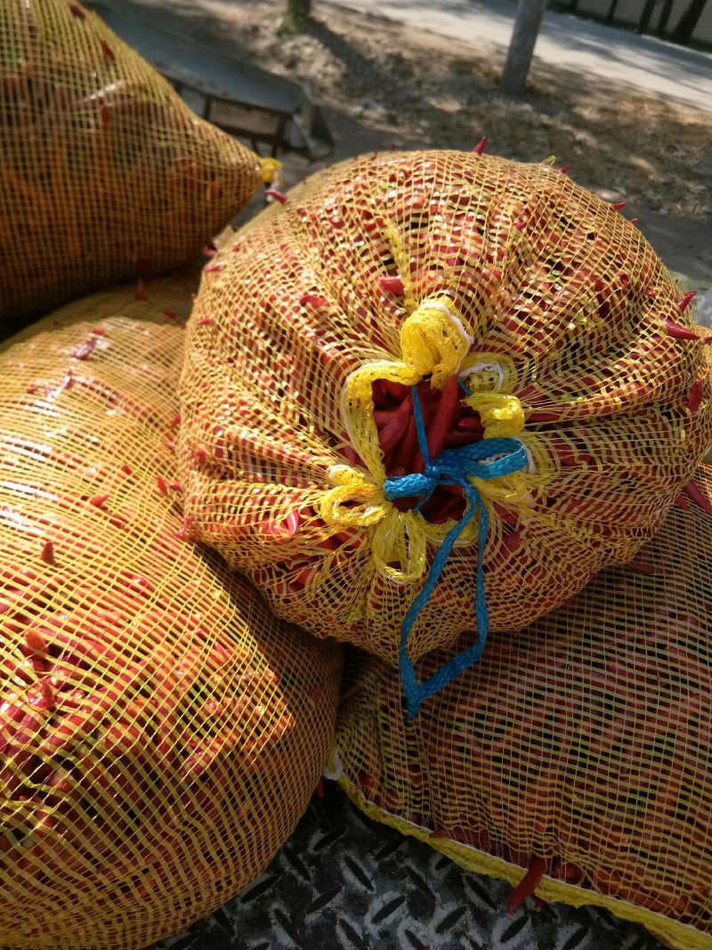三英辣椒，大量上市了，