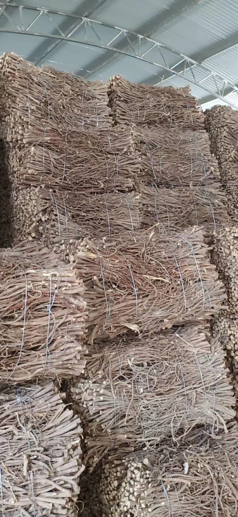 甘草，甘肃酒泉人工种植加工。