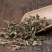 无硫中药材蓝布正蓝不正红心草水杨梅追风七路边黄