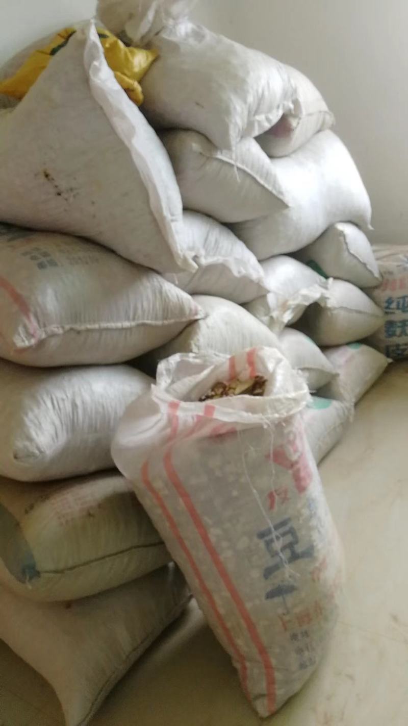 粉防己，基地直供种植面积广欢迎大家考察参观
