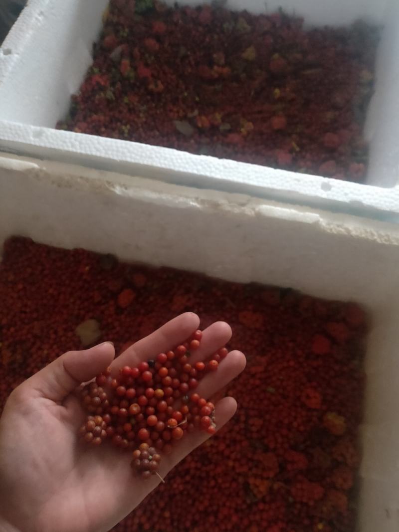 粉防己，基地直供种植面积广欢迎大家考察参观