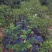 热销吴茱萸枝条(江西中花)，正宗江西樟树中花吴茱萸