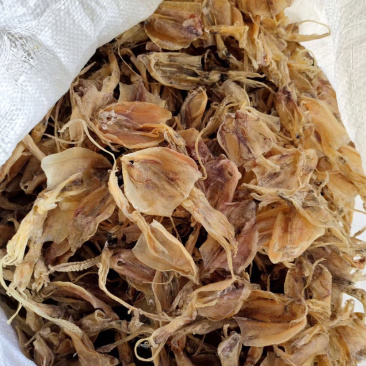 湛江特产纯淡干小鱿鱼干足干船晒鱿鱼香味十足强力推荐