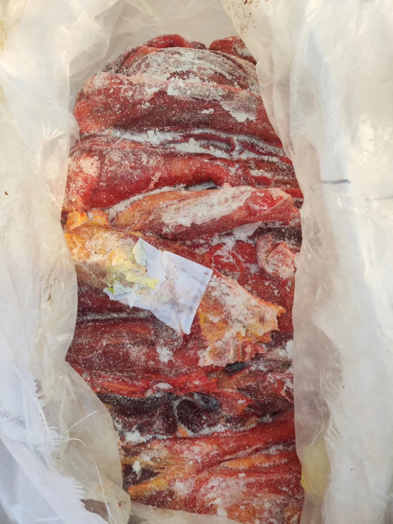 马肉新鲜马后腿肉不打水不带皮质量保证一手货源。