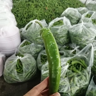贵州天然种植：小菜椒