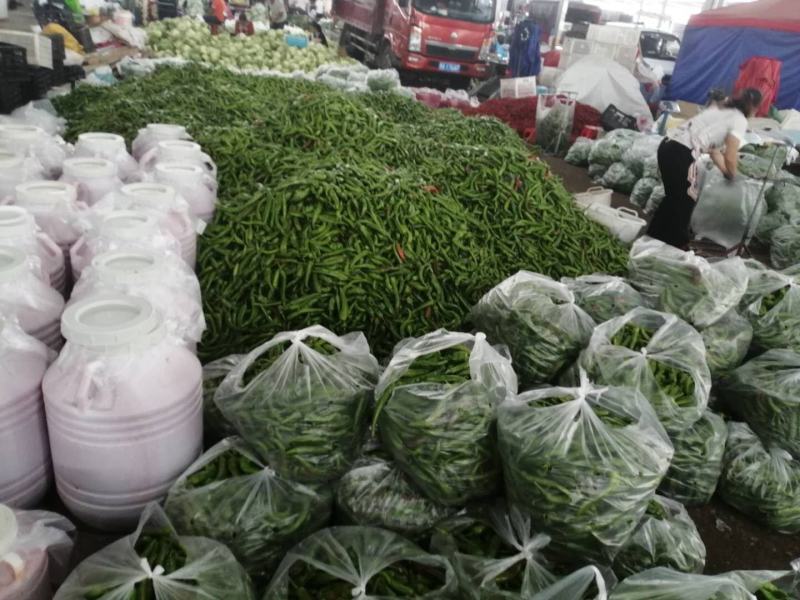 贵州天然种植：小菜椒