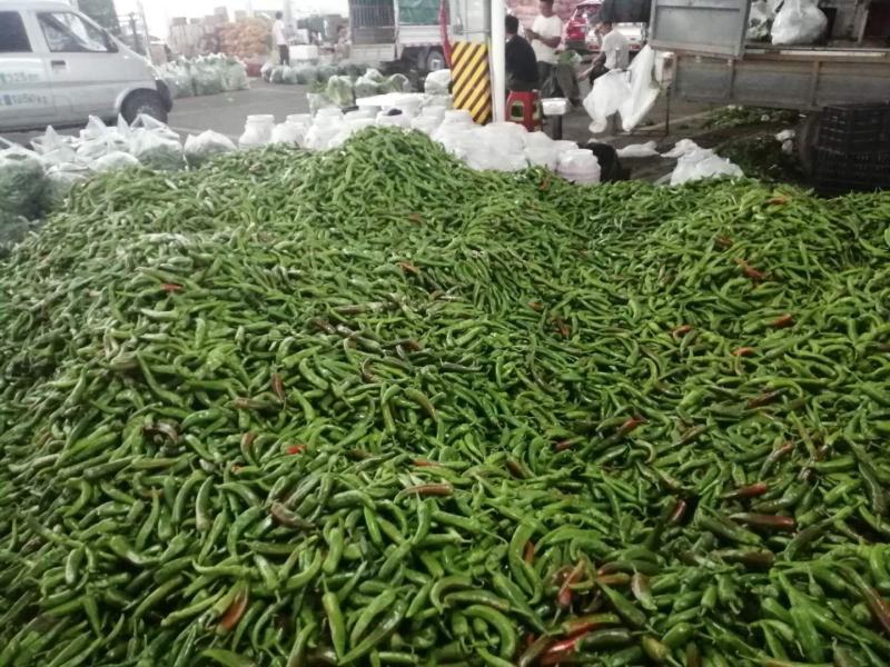 贵州天然种植：小菜椒