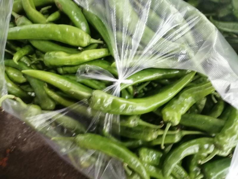 贵州天然种植：小菜椒