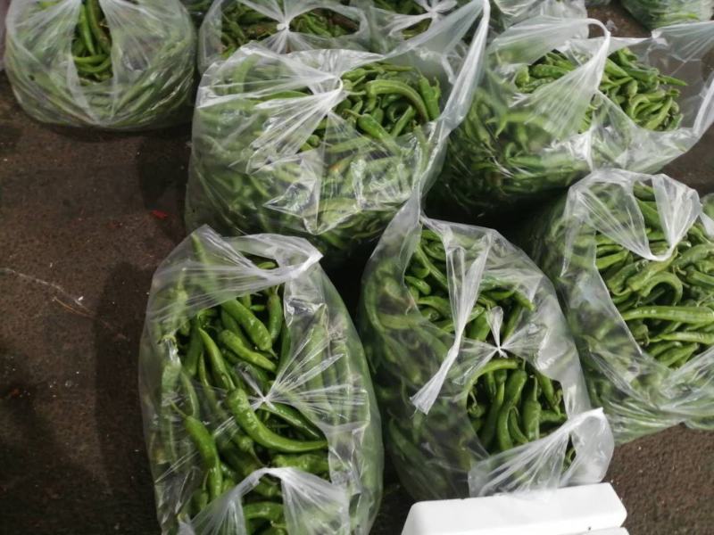 贵州天然种植：小菜椒