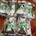 大瑶山野生红茶，规格茶礼盒装