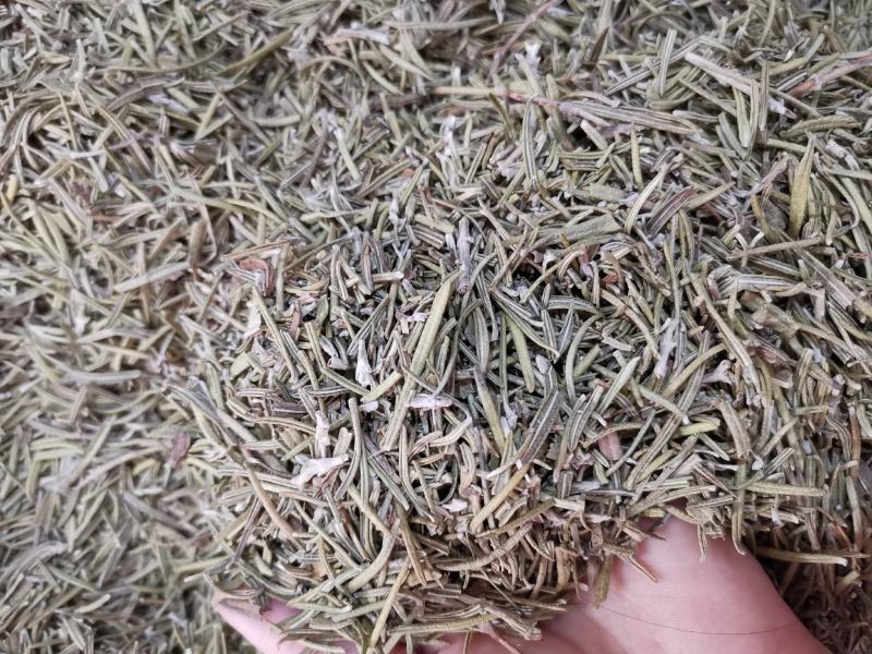 迷迭香优质新货迷迭香茶无杂质净货可供批发零售量大从优