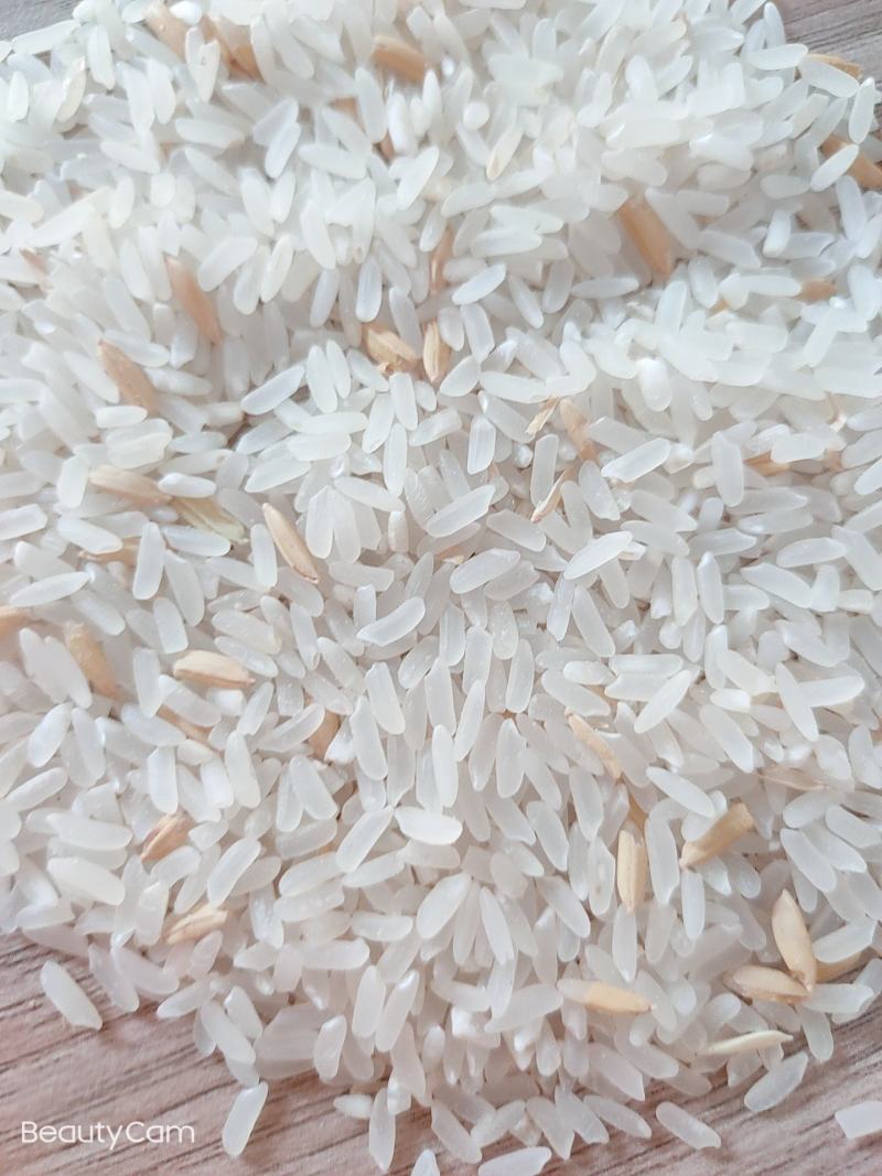 大型烘干厂大量上市稻谷
