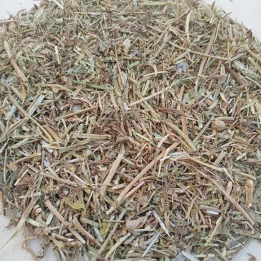 花生秧,花生秧草段,猪牛羊鸡鸭鹅饲料,大量供应!