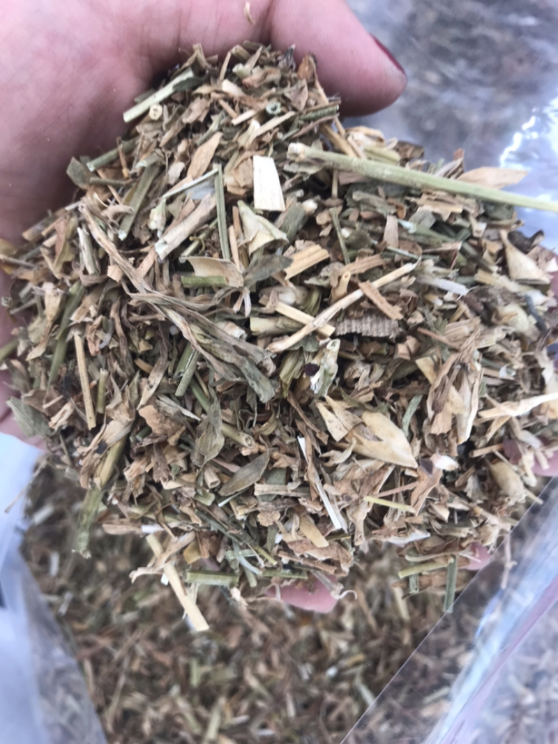 瞿麦巨麦石竹巨句麦保庆药材批发瞿麦正品