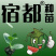 8424嫁接西瓜苗正在火爆订购中
