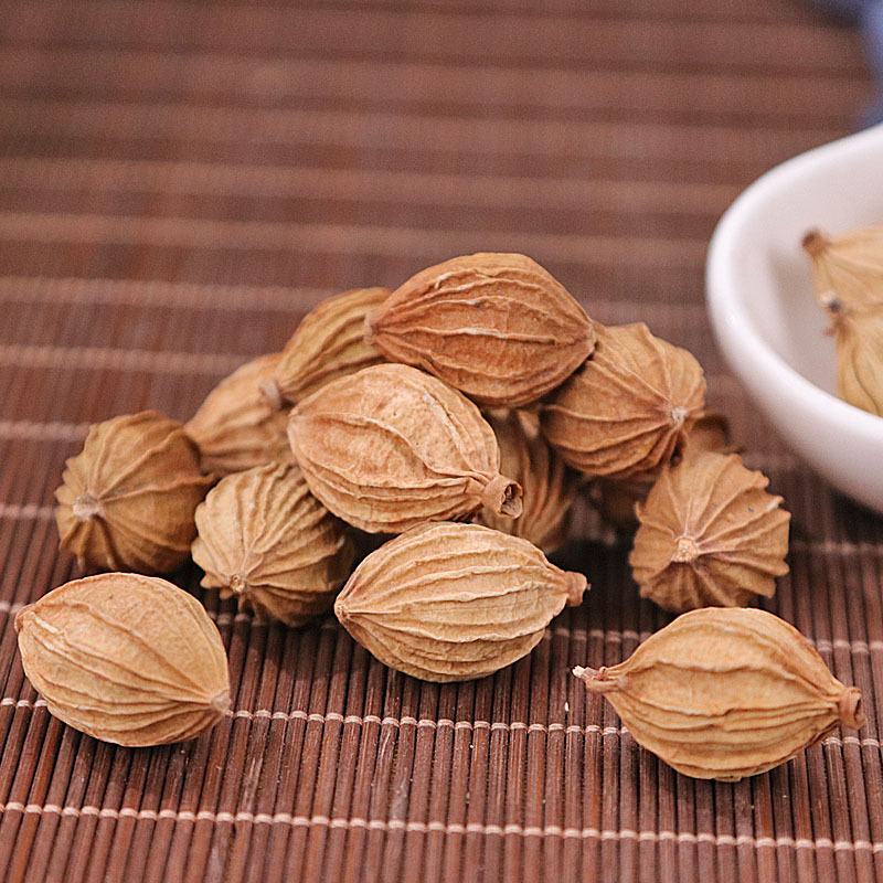香砂仁无硫净货香砂可供实体店批发零售量大从优
