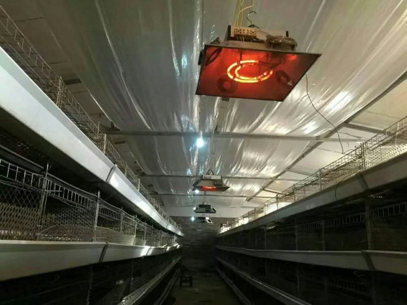 供暖设备专业育雏保温器雏鸡加温器全自动养殖加热设备