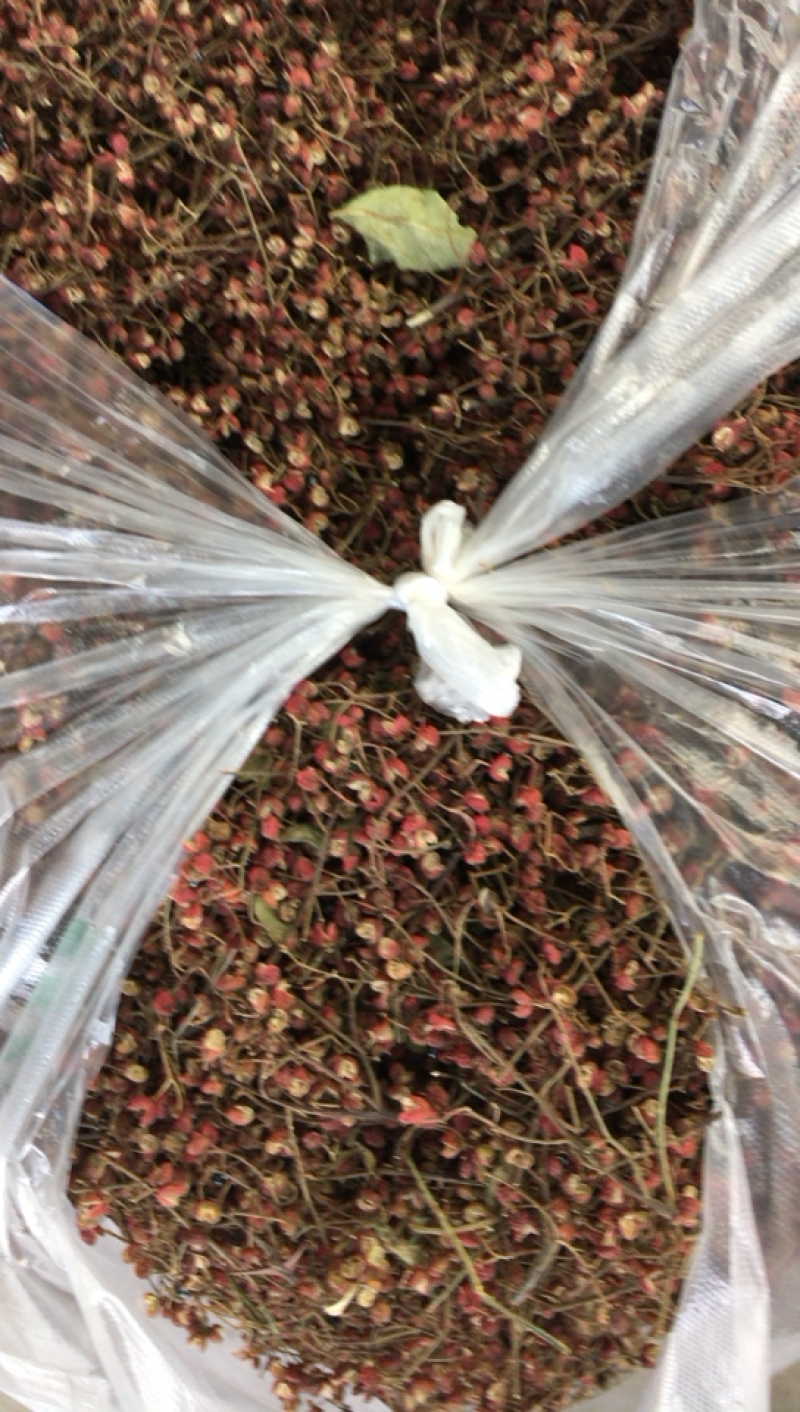 自家晾晒干花椒，花椒粒