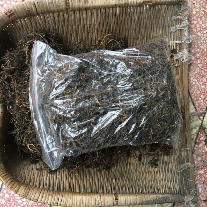 马齿苋一手货源产地直销
