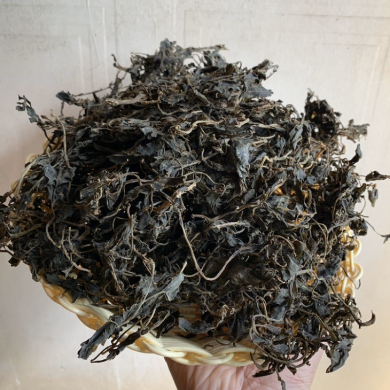 马齿苋一手货源产地直销