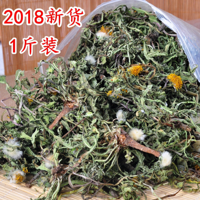 蒲公英一手货源产地直销