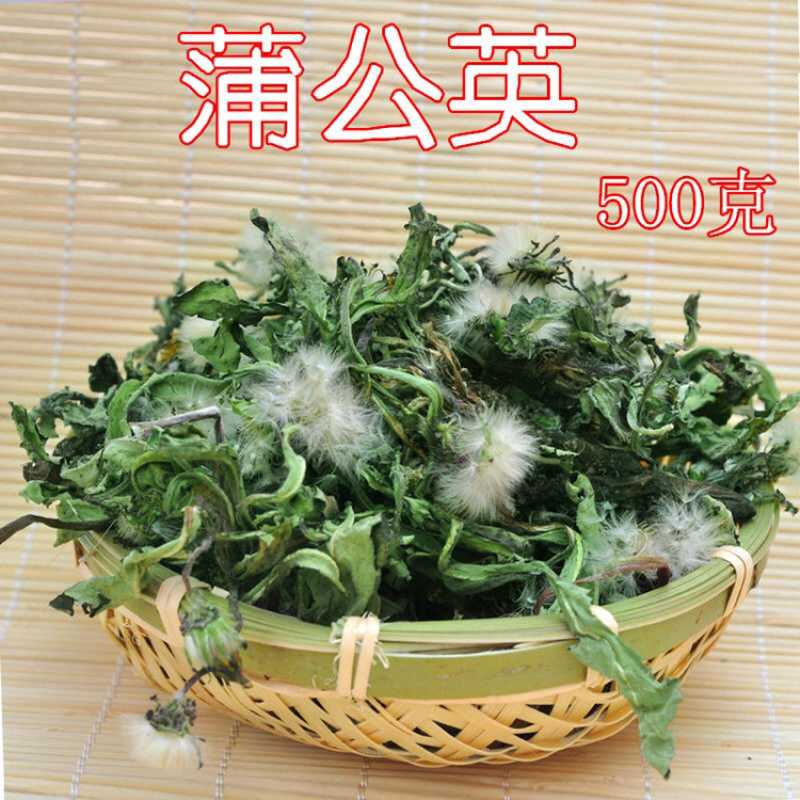 蒲公英一手货源产地直销