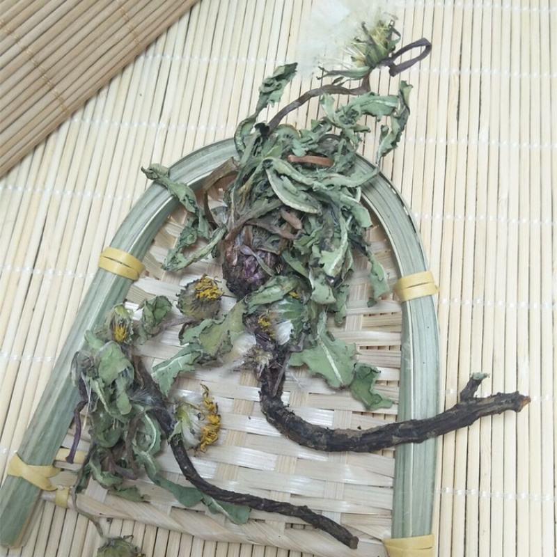 蒲公英一手货源产地直销
