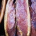 腊肉柴火腊肉，农家土猪腊肉