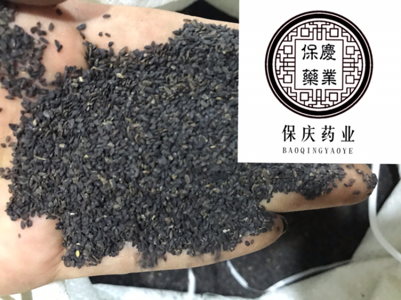 车前子正品无硫车钱子过风车货江西车前子实物拍摄