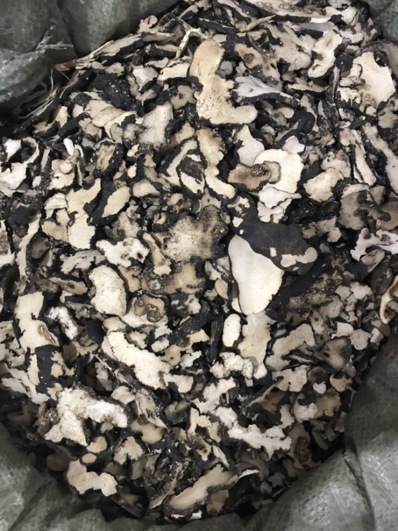 【货对版正品】猪苓猪屎苓猪苓片猪茯苓猪苓选装大片