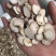 白芍白芍片白芍选装白芍统货白芍无硫白芍
