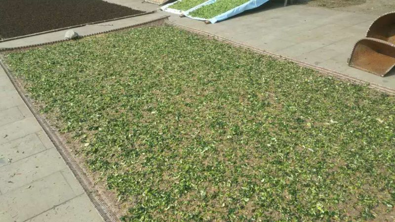 特级梅干菜正宗农家土法腌制雪里红九头芥东阳博士菜