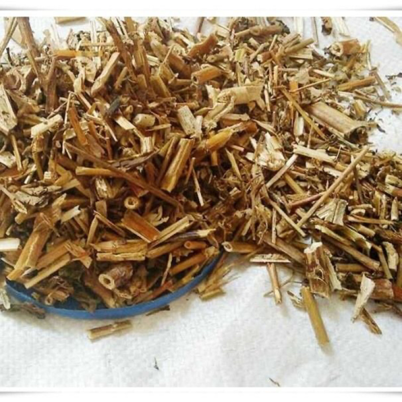 败酱草一手货源产地直销