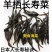 裙带菜叶颗粒做汤爽脆。海洋馈赠美食一斤泡7斤一斤装包邮