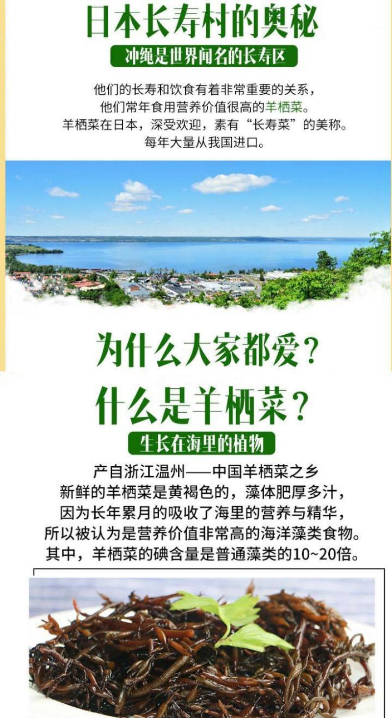 裙带菜叶颗粒做汤爽脆。海洋馈赠美食一斤泡7斤一斤装包邮
