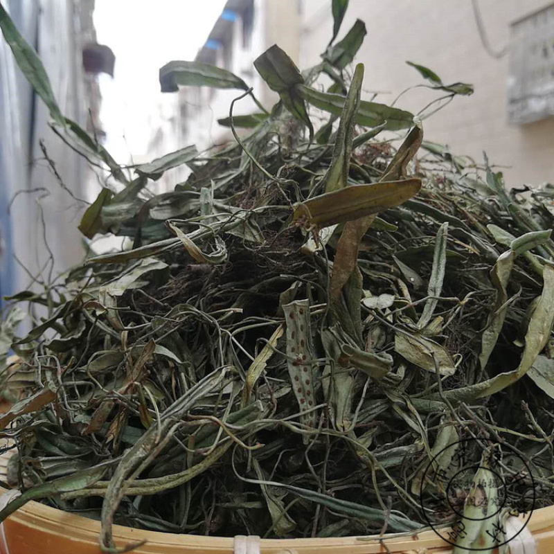 抱石莲一手货源产地直销