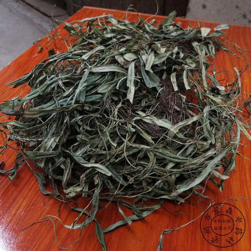 抱石莲一手货源产地直销