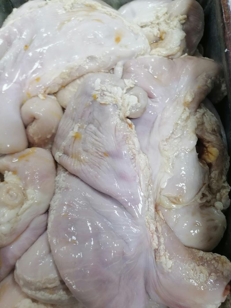 纯干货预煮猪肚片比冻猪肚还便宜