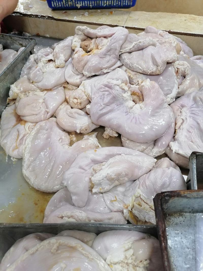 纯干货预煮猪肚片比冻猪肚还便宜