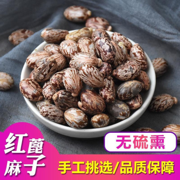 蓖麻子一手货源产地直销