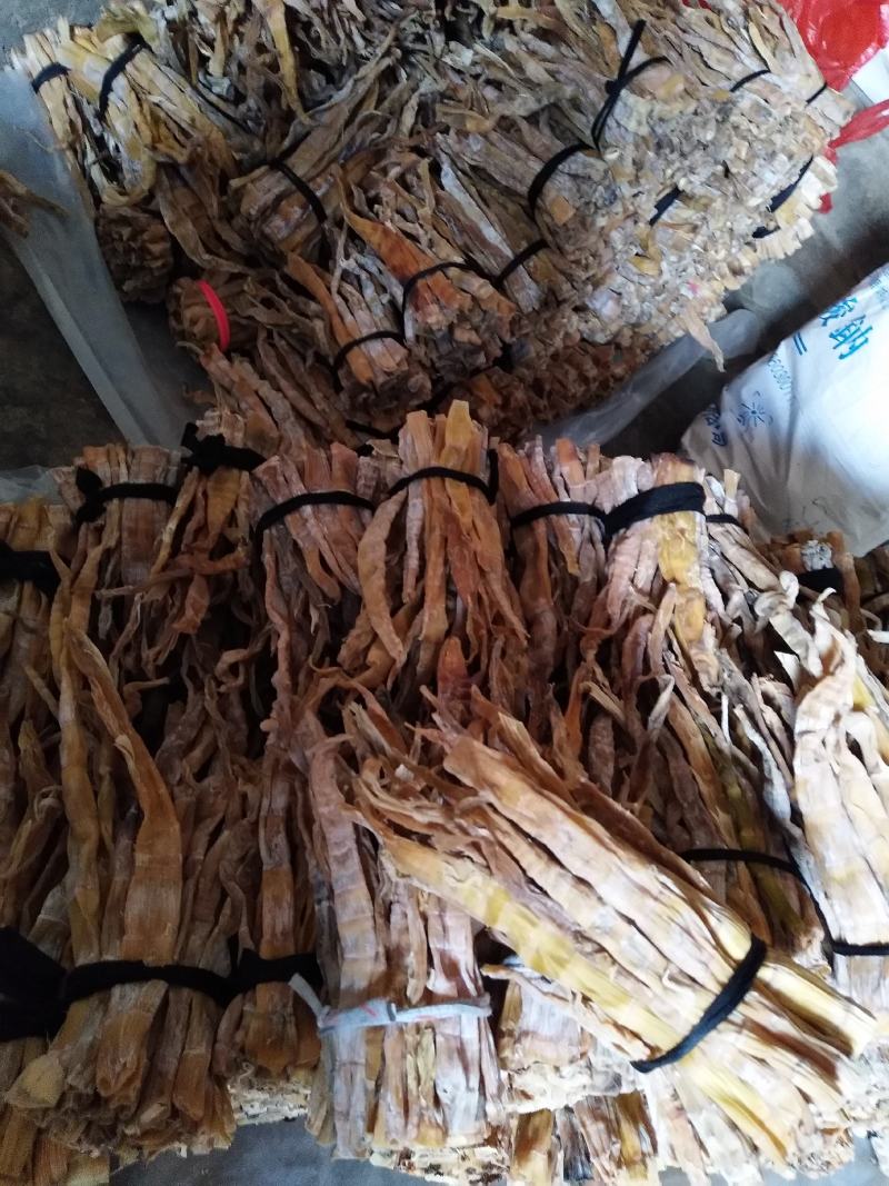 黄山野小笋，嫩，色度好。