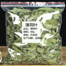 薄荷一手货源产地直销