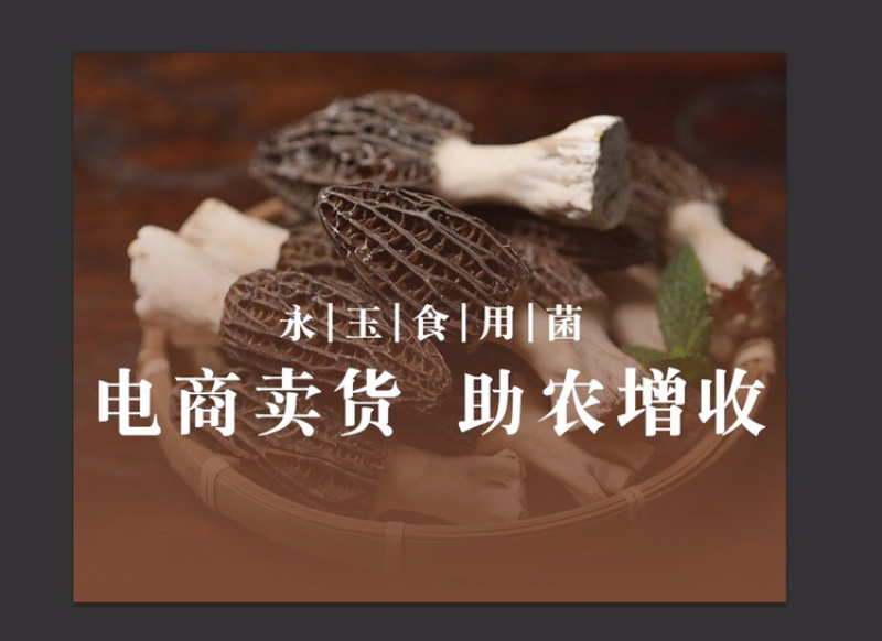 羊肚菌干货，头茬货3/7，羊肚菌鲜货野包邮
