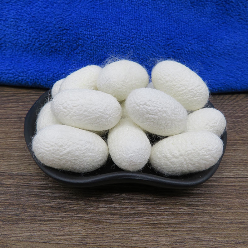 蚕茧一手货源产地直销
