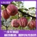 早酥红梨苗彩虹梨全部精品,可签合同,产地直发,一树苗