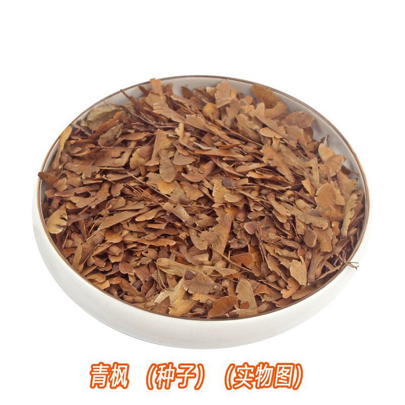 林木种子嫁接红枫的青枫树种子青枫种子鸡爪槭种子庭