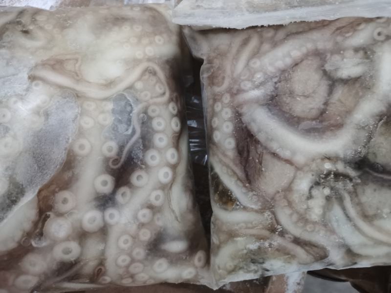 八爪鱼海鲜鲜活水产冷冻小章鱼迷你八抓鱼章鱼足长腿大爆头