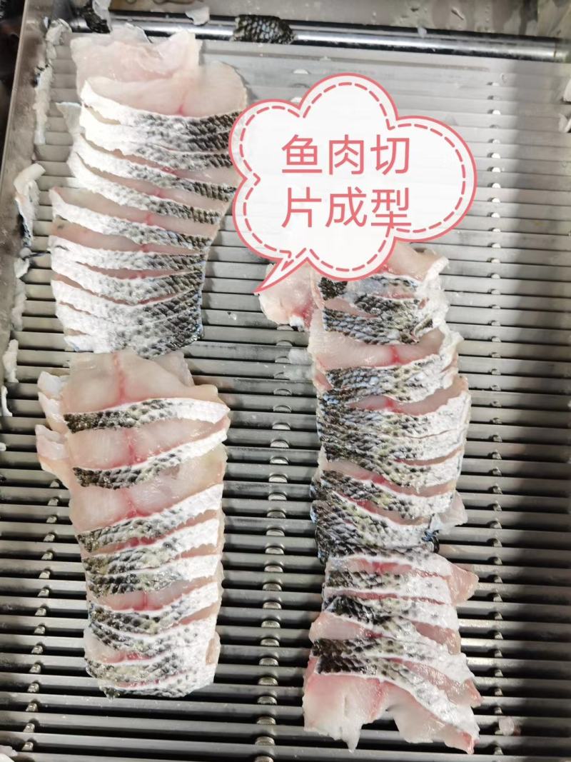 免浆黑鱼片生鱼片活鱼现切水煮鱼片酸菜鱼食材