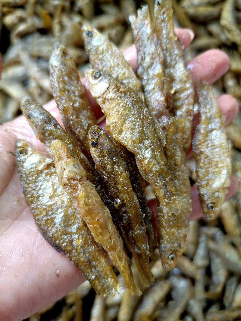 小鱼干干货麦穗鱼嫩子鱼忍子鱼干度好颜色靓大量供应