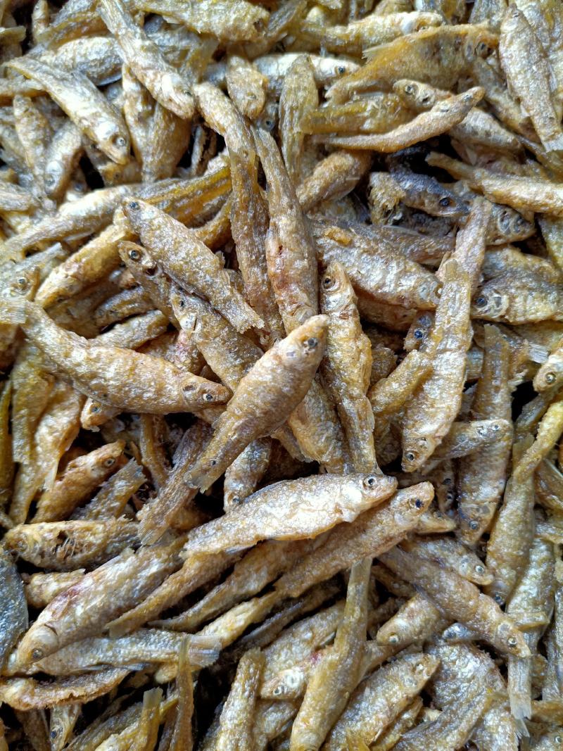 小鱼干干货麦穗鱼嫩子鱼忍子鱼干度好颜色靓大量供应